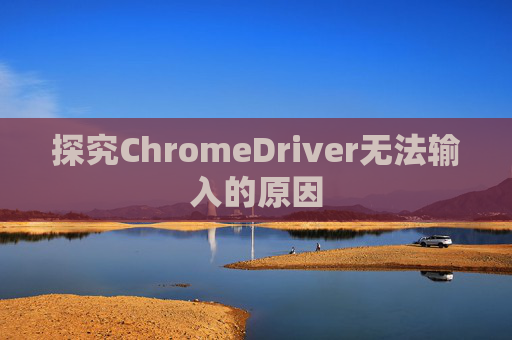 探究ChromeDriver无法输入的原因