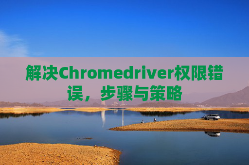解决Chromedriver权限错误，步骤与策略